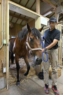 職員のサポートを受けて過ごす引退競走馬＝ＴＡＷ宇都宮事業所