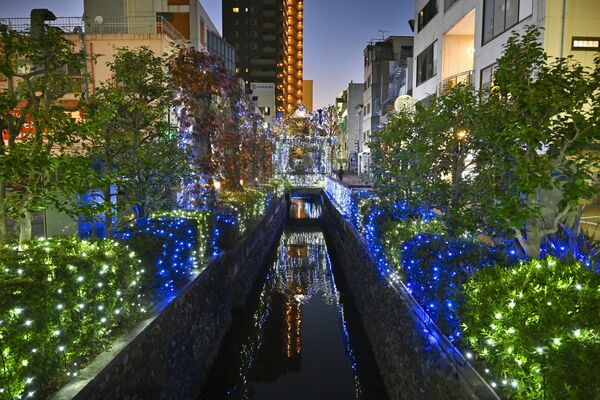 釜川を彩るイルミネーション＝20日午後５時、宇都宮市曲師町