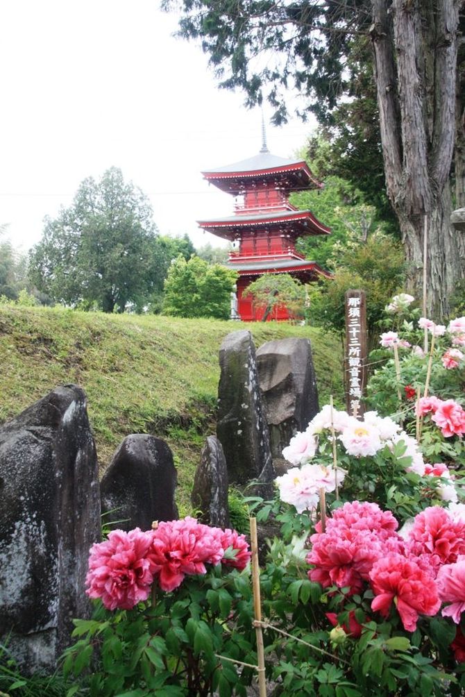 那珂川町白久777　例年の見ごろ／4月下旬～5月上旬　見られる花／ボタン