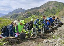 山への植樹３０年の節目　足尾銅山の煙害で荒廃　日光市 