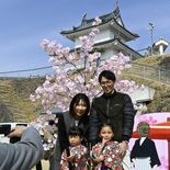 カワヅザクラの見頃は少し先だけれど...　宇都宮城址公園で「桜まつり」…