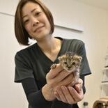 犬猫の殺処分、３年連続ゼロの宇都宮市　2006年度は1214頭、取り組…