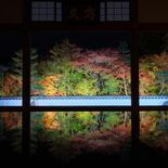 「床もみじ」が織りなす幻想美 20日ごろまで紅葉見頃 宝徳寺(群馬・桐…