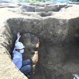 野木・新城遺跡で縄文前期のトンネル状遺構など発見　栃木県内初、アナグマ…