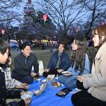 宇都宮・八幡山公園で桜七分咲き　宇都宮タワーとともにライトアップ　「７…