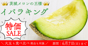 「イバラキング特価セール」を 産地直送通販サイト「ＪＡタウン」で実施中