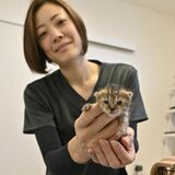 犬猫の殺処分、３年連続ゼロの宇都宮市　2006年度は1214頭、取り組みを探る