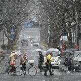 栃木県内各地で雪　北部山地で最大20センチ予報　路面凍結による交通障害などに注意