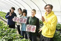 【夕刊】若者農業体験プログラムでイチゴを収穫