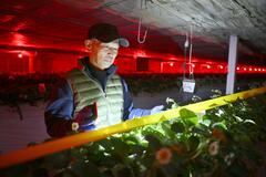 見て触って 出来を確認