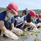 土感じて児童苗植え　栃木・大平西小３、６年生　環境保全会が140人招待