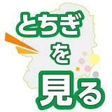 橋