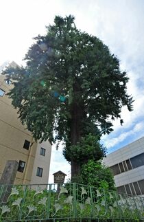 宇都宮空襲 遺構巡り