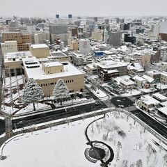 栃木県内の鉄道など大雪被害状況　１人が除雪中にけが　足利では市道通行止めも