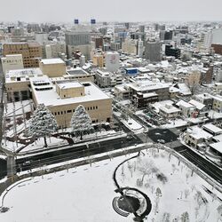 栃木県内、大雪による交通障害など警戒を　８日午前４時現在の積雪は宇都宮11センチ