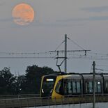 栃木県内の夜空に「中秋の名月」　LRTと幻想的な共演