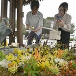 秋を感じる花手水、境内の手水舎を彩る　栃木県上三川町の白鷺神社など