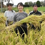 中学生が自分の田んぼで米栽培　将来は「レストラン開きたい」　大田原