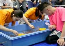 金魚すくい、５０匹で優勝