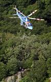 ヒグマ 登山者襲う