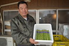 ＜１５２＞　柔らかく、甘い春芽　　　　　　ＪＡしおのやのアスパラガス	