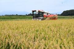名酒の予感 「夢ささら」