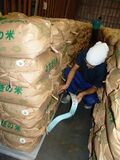 ＜17＞ふっくら栃木のＪＡ米　安全な米、産地の誇り