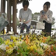秋を感じる花手水、境内の手水舎を彩る　栃木県上三川町の白鷺神社など