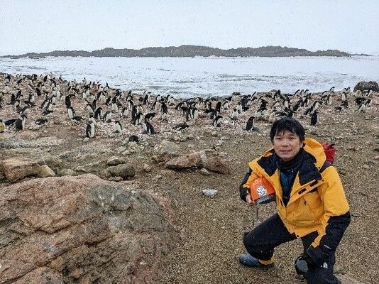 ペンギンの巣「ルッカリー」（奥）と渡辺教諭＝2021年12月、南極・ラングホブデ