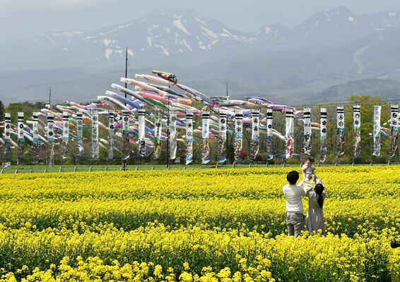 菜の花や那須連山と共演するこいのぼり＝１日午後、那須町大島