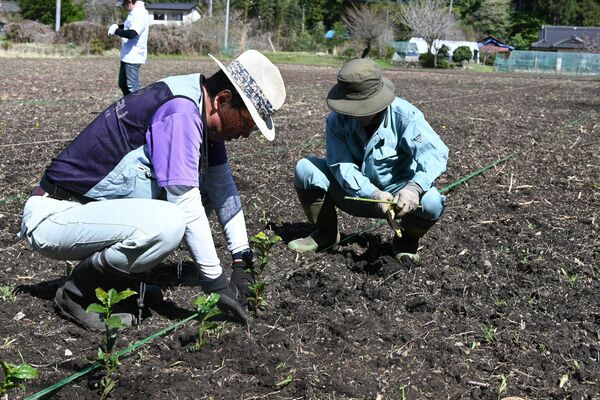 茶の苗を植える実行委員会のメンバー