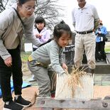 昔の民具使い米収穫に挑戦　児童ら、食卓に届くまでの作業体験　大田原で初…