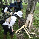 相次ぐクマの出没　どうすれば安全に山歩きできる？　日光の現役ハンターに…