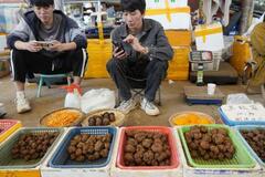 中国、景気低迷でもトリュフ人気