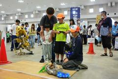 体験会で取り組み発信　