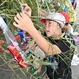 交通安全祈り七夕飾り　鹿沼の粕尾小児童ら50人作業　駐在所前へ８月中旬まで設置