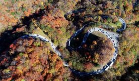 紅葉狩りで長い車列　日光・いろは坂