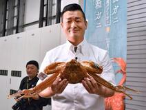 ズワイガニ漁解禁初競り