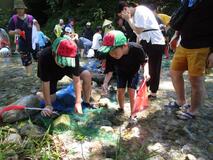 夏休み 水辺に学ぶ