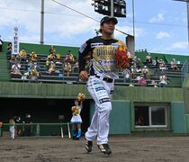 栃木ＧＢ、下野新聞スペシャルゲーム