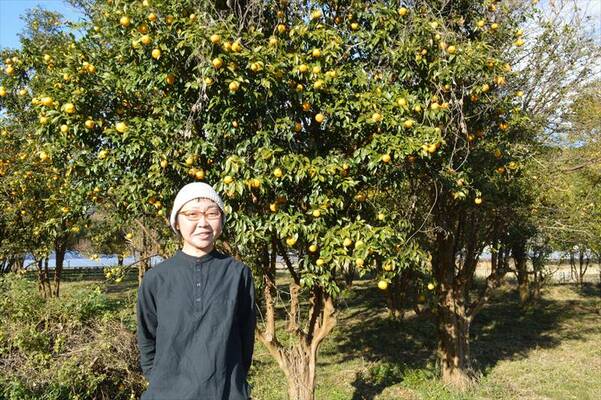 長年放置されていたユズ園を再生させた後藤さん