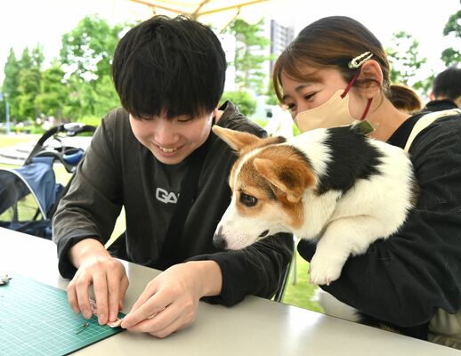 愛犬のネームタグを作る参加者=24日午後、県庁前広場