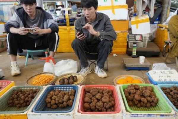 中国雲南省昆明市の市場で黒トリュフを売る人たち=10月(共同)