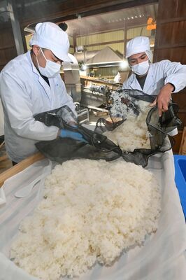 蒸し上がった酒米を冷ますため広げる蔵人＝２５日午前８時３５分、小山市上泉（超広角レンズ使用）
