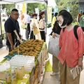 「甘いね」県産ナシ　鮮度、食感、味わいをアピール　都内でフェア