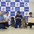 「娘」の警察犬が男性遭難者を救助、「母」に続くお手柄　矢板署から感謝状
