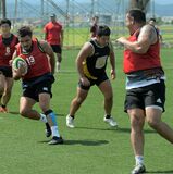 宇都宮ヴォルツ戦力充実、１部昇格へ優勝狙う　クラブラグビー東日本リーグ18日開幕