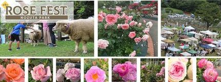 ～1,500株のバラが咲きほこる特別な2日間～　町田市立野津田公園で「ROSE FEST 2026」が開催