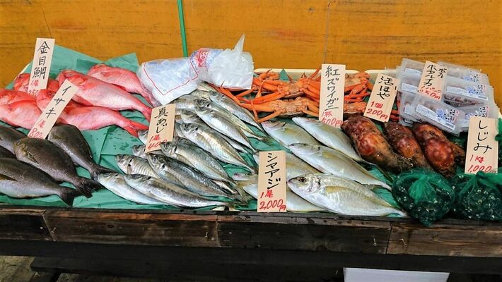 イベントで並ぶ鮮魚