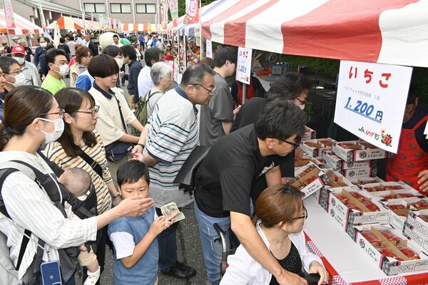 イチゴを買い求める来場者